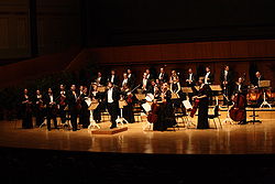 Datoteka:Vienna Mozart Orchestra.JPG