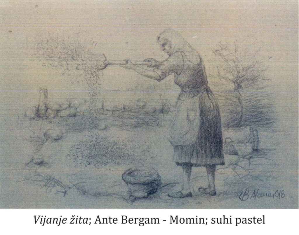 Vijanje zita - Ante Bergam Momin.jpg