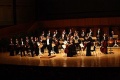 Vienna Mozart Orchestra.JPG